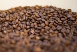 Preço do café registra primeira queda após 18 meses de alta