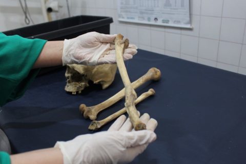 Peritos do Amazonas usam antropologia forense para identificar ossadas humanas