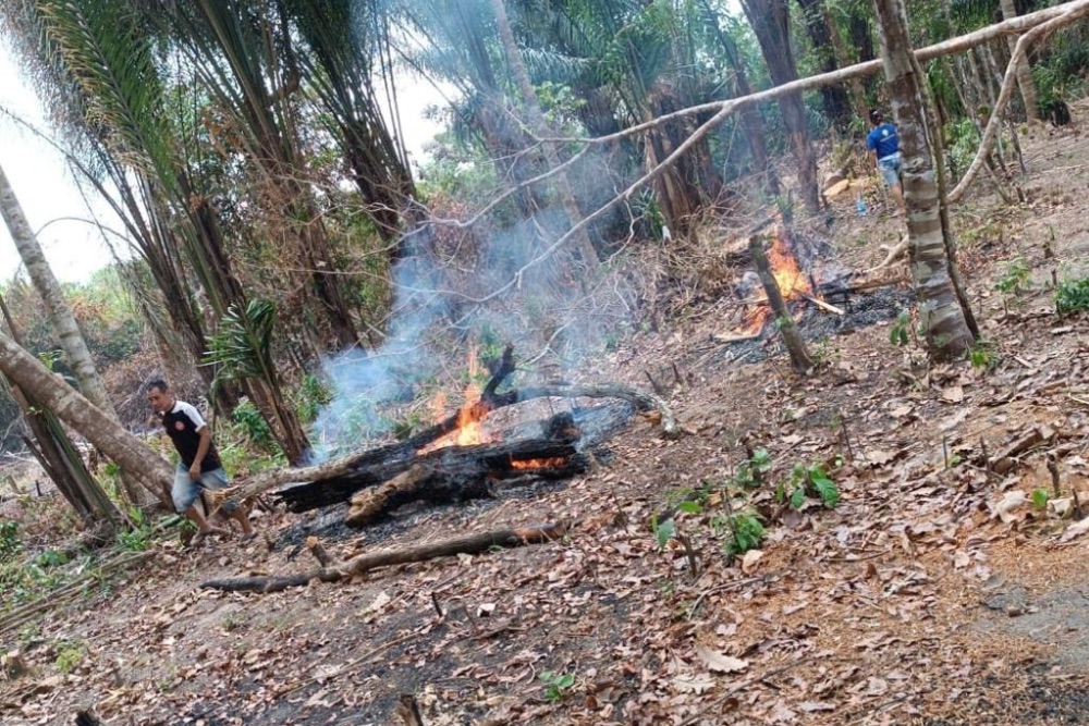 Sedema alerta parintinenses sobre as queimadas e trabalha na prevenção dos danos Sedema alerta parintinenses sobre as queimadas e trabalha na prevenção dos danos