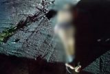Homem é encontrado morto após ser sequestrado na Zona Norte de Manaus