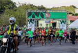 UEA abre inscrições para 2ª Corrida do Sauim-de-coleira em Manaus