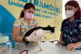 Atendimentos do Castramovel serão realizados no bairro Japiim nesta terça (16)