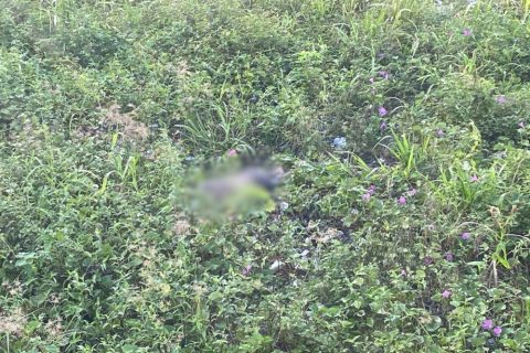 Homem é encontrado morto em terreno na avenida Autaz Mirim