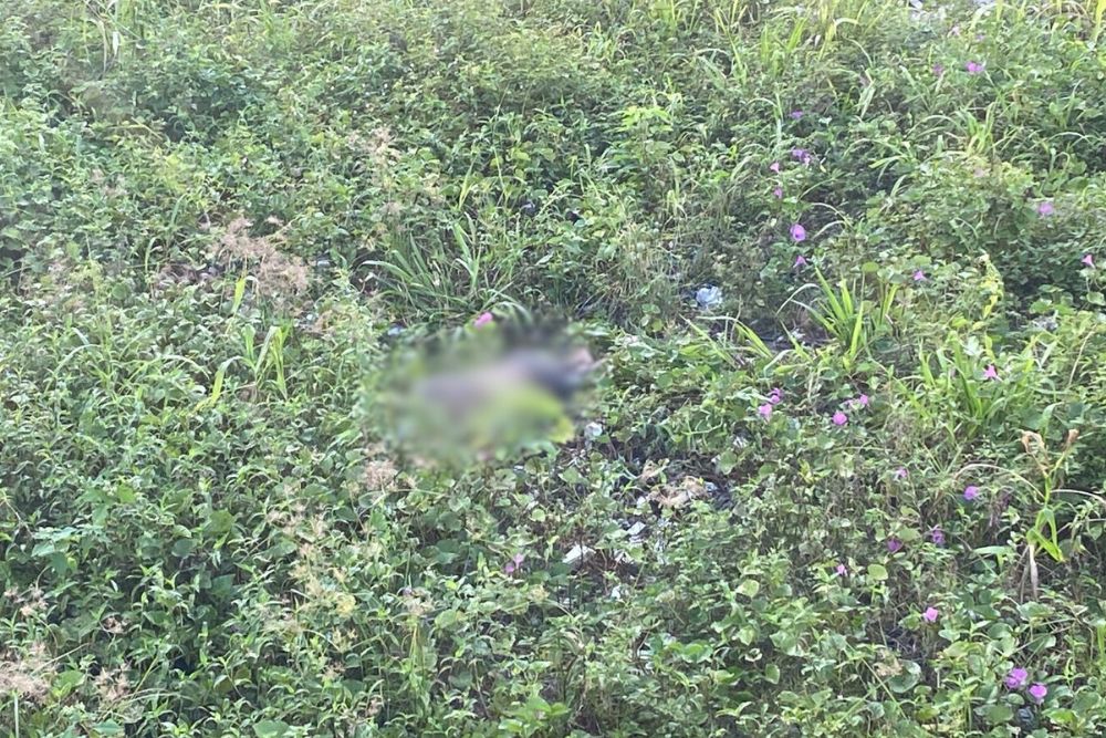 Homem é encontrado morto em terreno na avenida Autaz Mirim Homem é encontrado morto em terreno na avenida Autaz Mirim