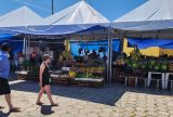 Feira próxima da Praça do Sagrado começa a funcionar no porto de Parintins