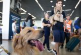 Convívio com animais traz benefícios à saúde física e mental do tutor