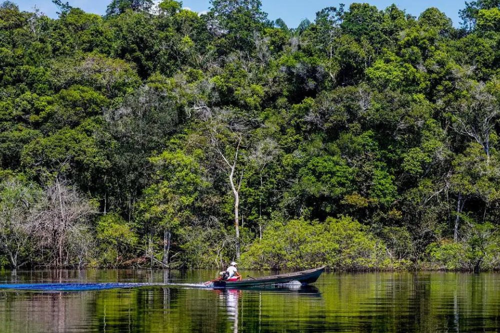 Hepatite Delta avan&ccedil;a entre ribeirinhos no Amazonas