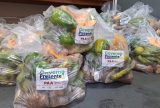 Sepror distribui 4,5 toneladas de alimentos na 8ª Edição do Governo Presente