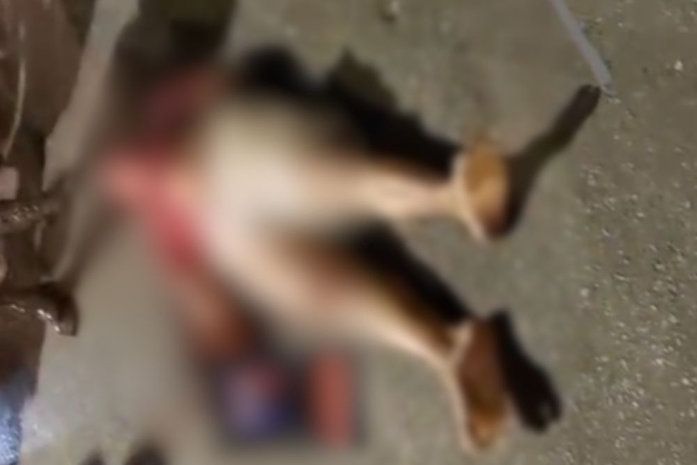 Suspeito de assalto &eacute; atropelado e espancado na Zona Norte de Manaus