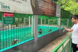 ‘Um dia no Parque’: Bosque da Ciência do Inpa tem programação especial neste domingo (21)
