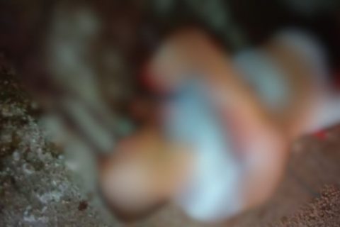 Motociclista é executado a tiros no bairro Jorge Teixeira