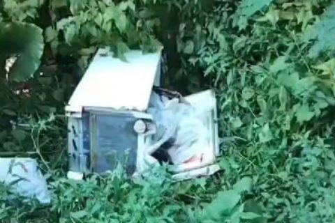 Corpo é encontrado dentro de geladeira em área de mata na avenida dos Oitis