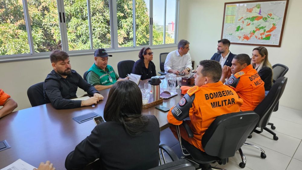 Sema e Governo Federal discutem a&ccedil;&otilde;es para programas &lsquo;Uni&atilde;o com os Munic&iacute;pios&rsquo; e &lsquo;Floresta+&rsquo;