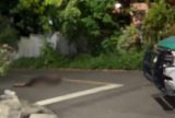 Vendedor de frutas é morto a facadas no bairro São Raimundo
