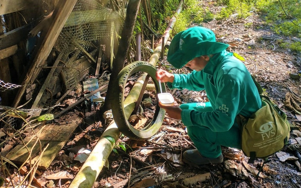 Saúde ressalta a importância da colaboração de estados e municípios no combate à dengue Saúde ressalta a importância da colaboração de estados e municípios no combate à dengue