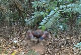 Corpo decapitado é encontrado em área de mata no bairro do Santo Antônio