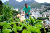 Nova lei pretende estimular a produção de alimentos nas cidades