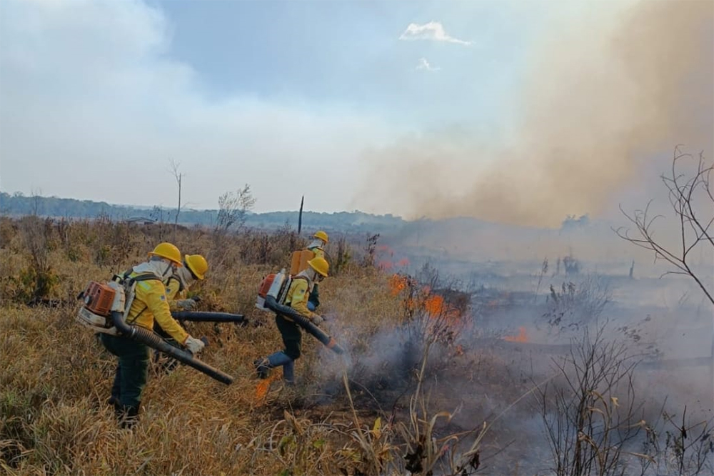 Ibama intensifica atuação contra queimadas e incêndios florestais no Amazonas Ibama intensifica atuação contra queimadas e incêndios florestais no Amazonas
