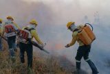Brasil apresenta proposta global contra incêndios florestais na Pré-COP em Brasília