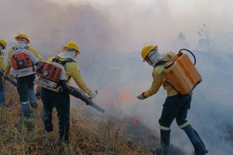 Brasil apresenta proposta global contra incêndios florestais na Pré-COP em Brasília