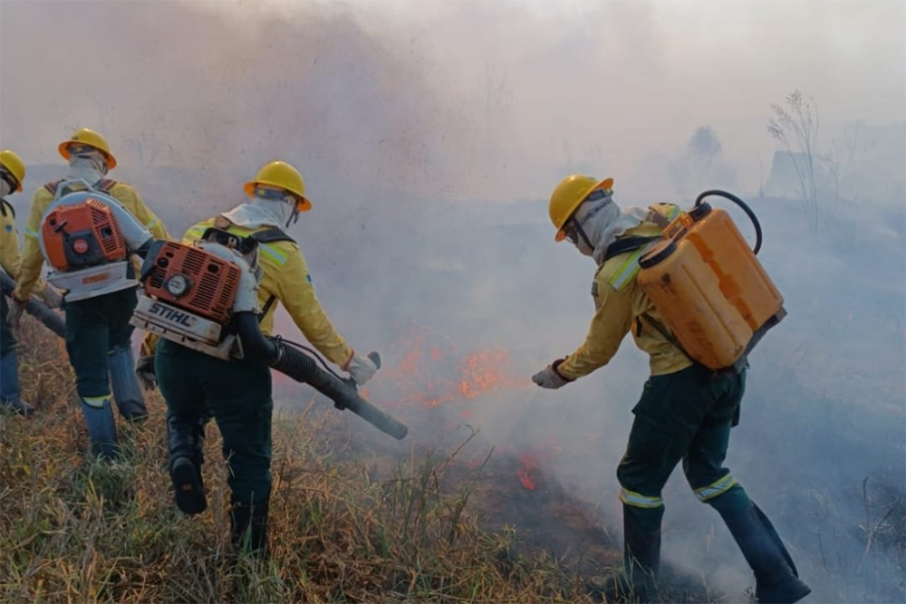 Ibama multa 242 pessoas por incêndios criminosos em 2024 Ibama multa 242 pessoas por incêndios criminosos em 2024