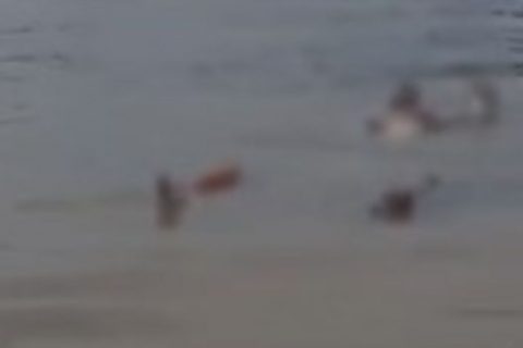 Canoeiro encontra corpo boiando em rio nas proximidades de Alvarães