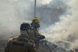 Em dois meses, Operação Aceiro 2024 combate mais de 4.200 focos de incêndios no interior do AM