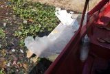 Corpo com marcas de perfurações é encontrado dentro de geladeira no bairro Presidente Vargas