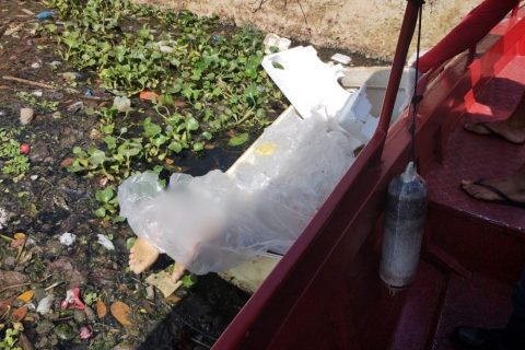 Corpo com marcas de perfurações é encontrado dentro de geladeira no bairro Presidente Vargas