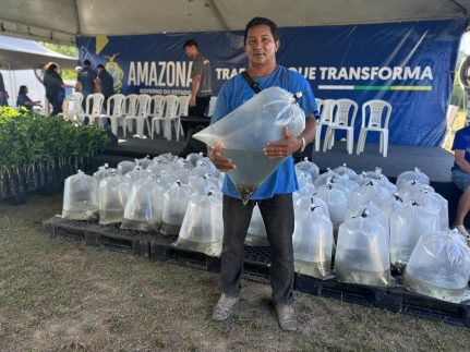 Sepror beneficia 600 produtores do assentamento rural do Tarumã-Mirim com entrega de mudas de café e citros