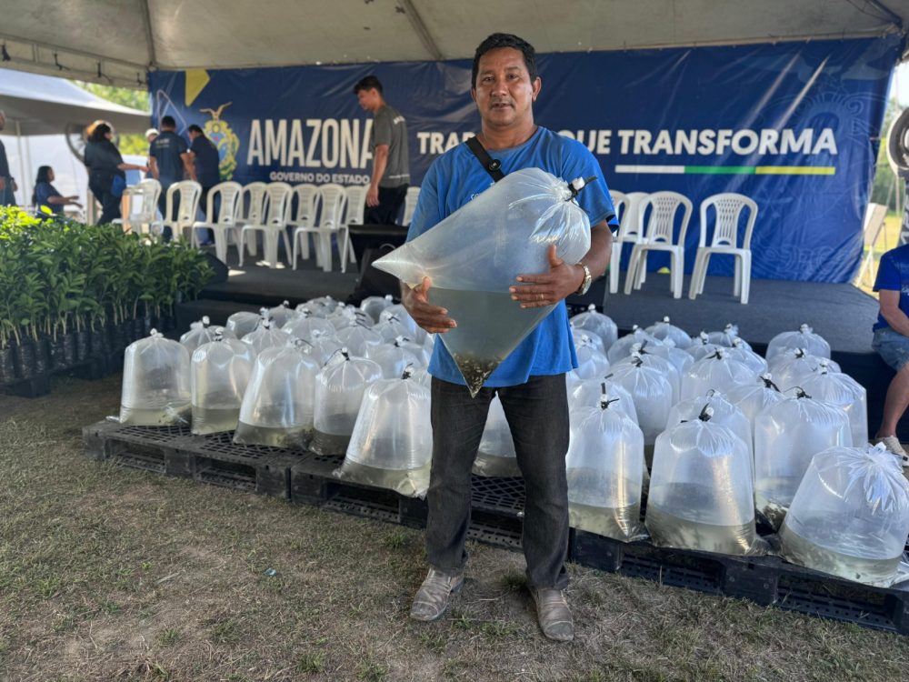 Sepror beneficia 600 produtores do assentamento rural do Tarum&atilde;-Mirim com entrega de mudas de caf&eacute; e citros