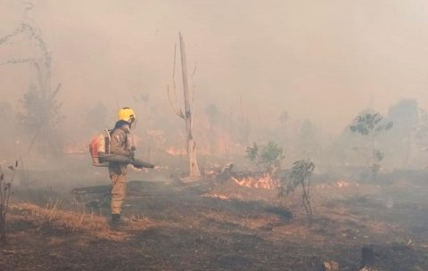 Bombeiros da Operação Aceiro combatem incêndio em área de pasto no município de Apuí
