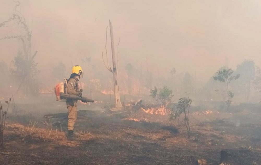 Bombeiros da Opera&ccedil;&atilde;o Aceiro combatem inc&ecirc;ndio em &aacute;rea de pasto no munic&iacute;pio de Apu&iacute;