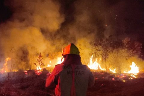 Operação Aceiro: Bombeiros combatem incêndio em área de vegetação no município de Boca do Acre