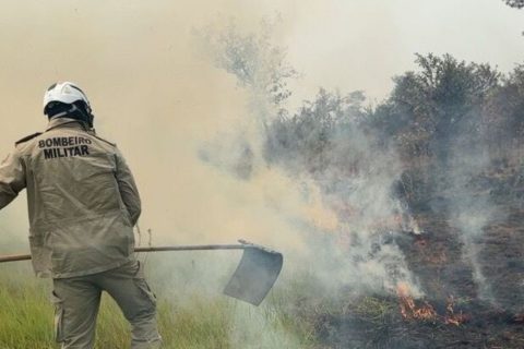 Bombeiros combatem incêndio em vegetação nas proximidades do aeroporto de Lábrea