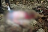Homem morre após ter cabeça esmagada durante briga no bairro Colônia Santo Antônio
