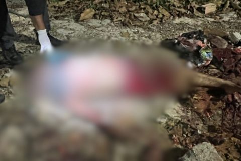 Homem morre após ter cabeça esmagada durante briga no bairro Colônia Santo Antônio