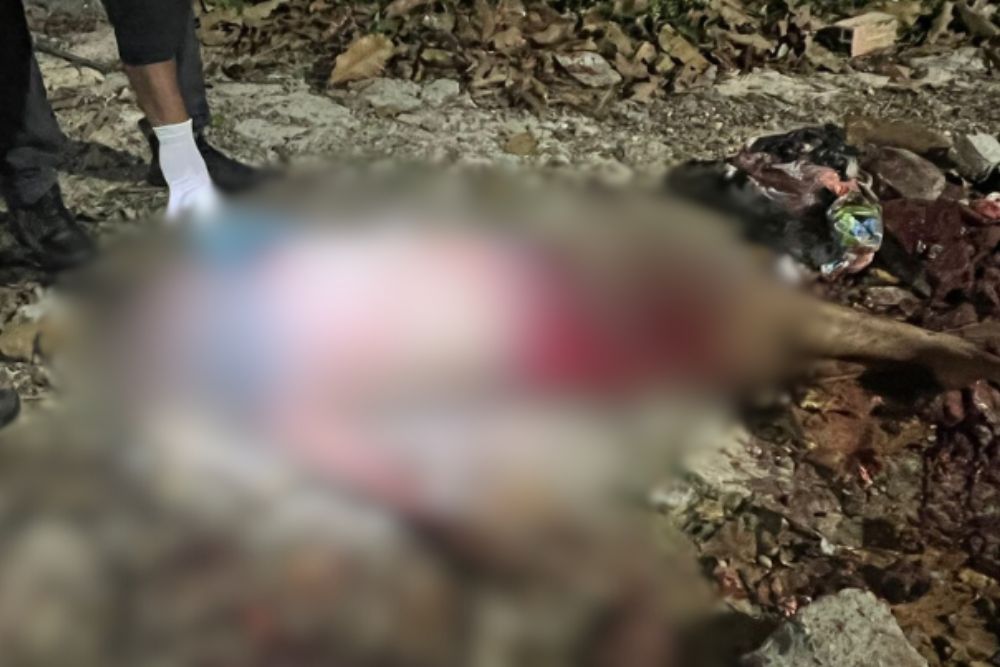 Homem morre após ter cabeça esmagada durante briga no bairro Colônia Santo Antônio Homem morre após ter cabeça esmagada durante briga no bairro Colônia Santo Antônio