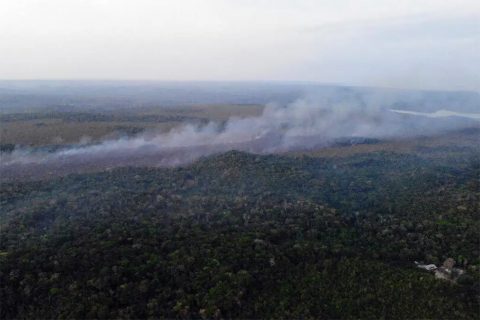 Situação de emergência por incêndio florestal cresceu 354% em agosto