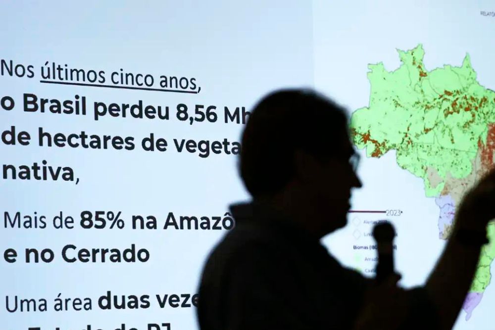 Brasil j&aacute; perdeu 33% das &aacute;reas naturais de seu territ&oacute;rio