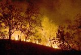 Governo Federal vai concentrar medidas de combate aos incêndios florestais em 21 municípios da Amazônia