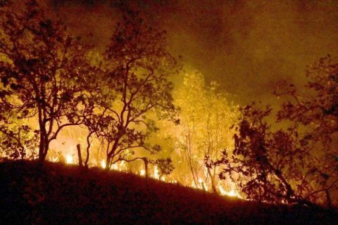 Governo Federal vai concentrar medidas de combate aos incêndios florestais em 21 municípios da Amazônia