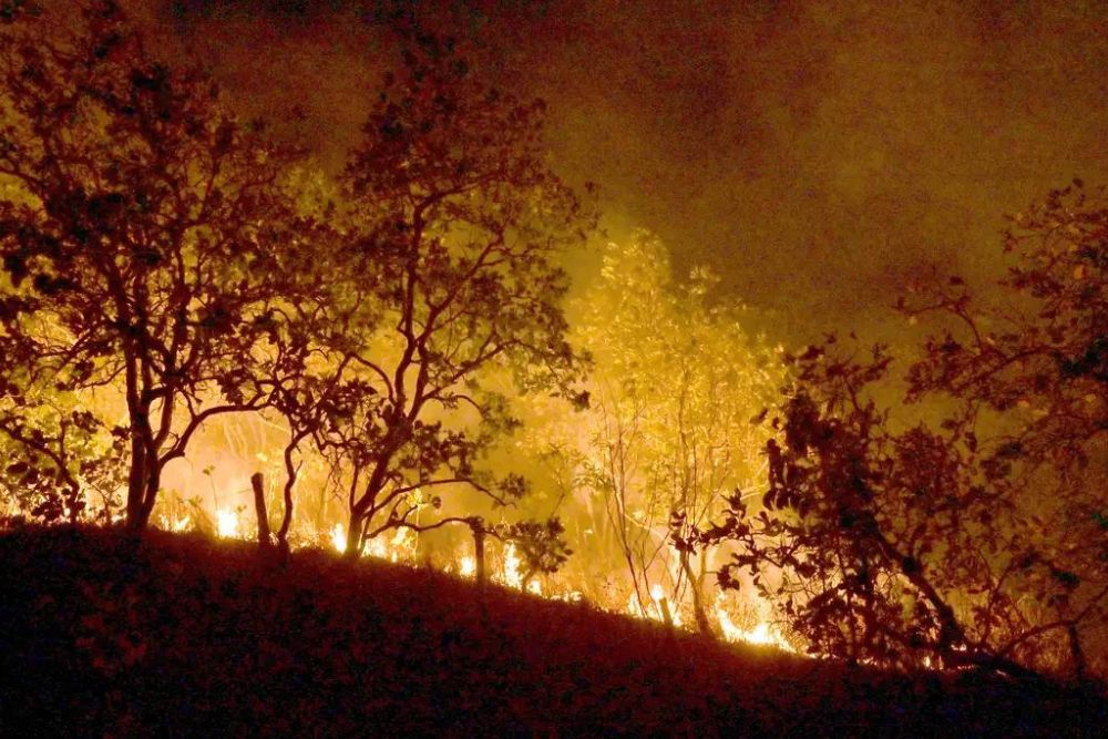 Governo Federal vai concentrar medidas de combate aos incêndios florestais em 21 municípios da Amazônia Governo Federal vai concentrar medidas de combate aos incêndios florestais em 21 municípios da Amazônia