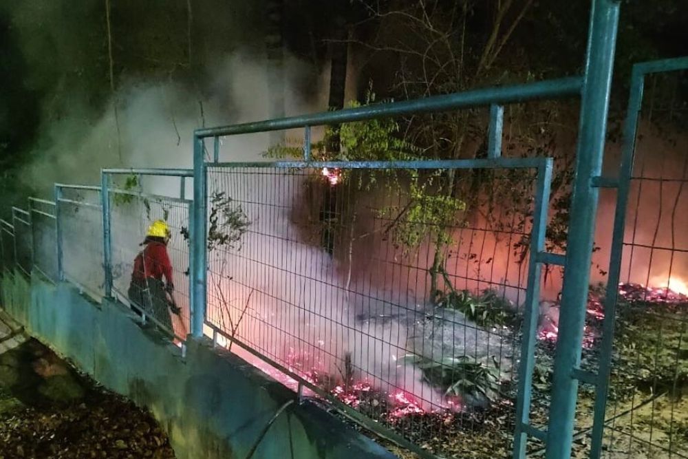 Operação Céu Limpo: Em Manaus, bombeiros combatem 14 incêndios em áreas de vegetação nas últimas 24 horas Operação Céu Limpo: Em Manaus, bombeiros combatem 14 incêndios em áreas de vegetação nas últimas 24 horas
