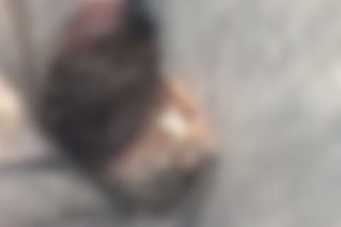 Corpo de jovem é encontrado decapitado em igarapé no bairro Educandos