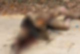 Corpo é encontrado carbonizado no ramal do Brasileirinho