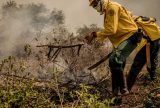 Incêndios no Pantanal já consumiram mais de 15% do bioma em 2024