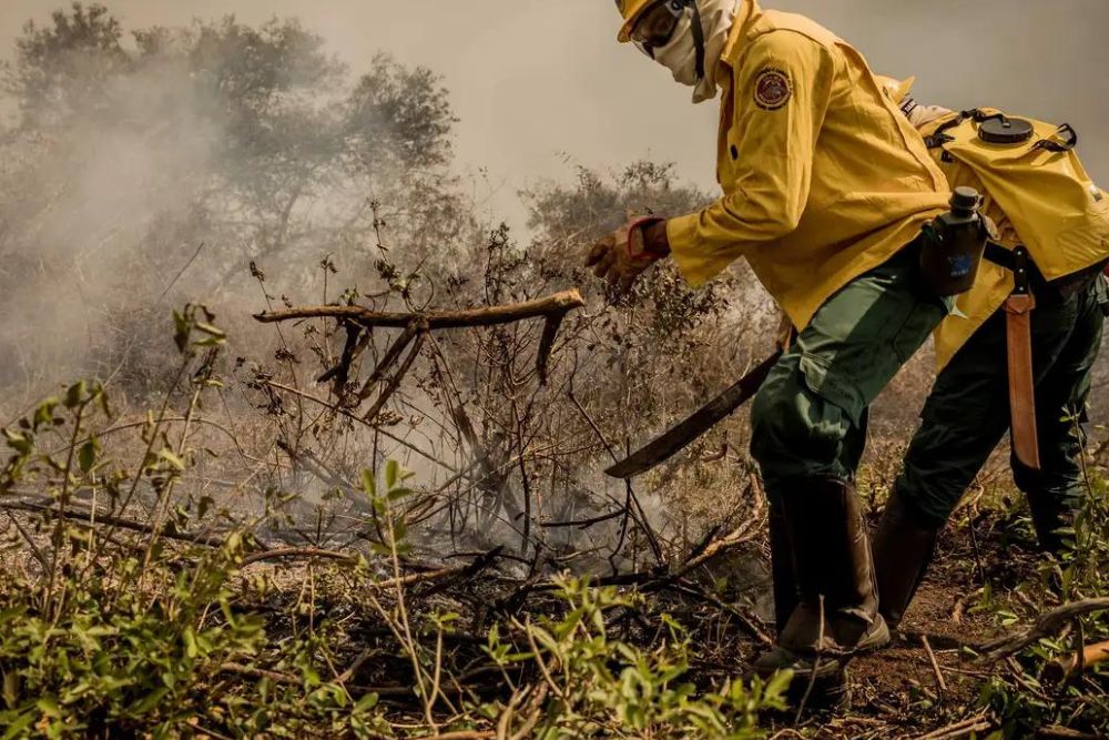 Inc&ecirc;ndios no Pantanal j&aacute; consumiram mais de 15% do bioma em 2024