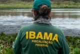 Ministério autoriza concursos com 810 vagas para Ibama e ICMBio