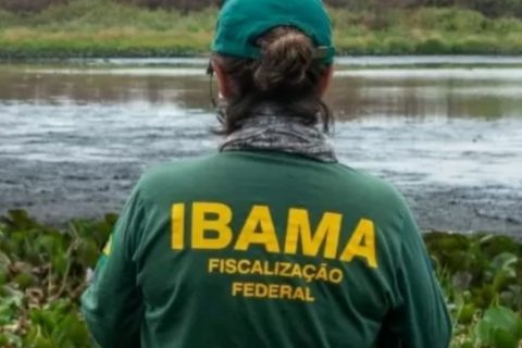 Ministério autoriza concursos com 810 vagas para Ibama e ICMBio